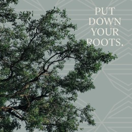 Instagram post from @canopyrentalhomes on December 12, 2024 00:00:00am